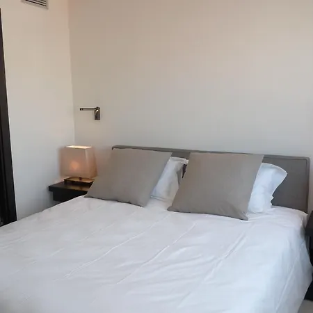 Palais View 公寓 戛纳